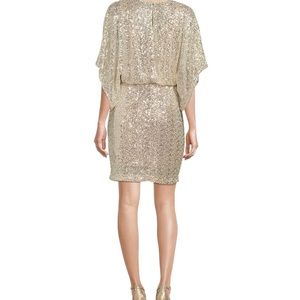 Jessica Howard Sequin Mesh Boat Neck Short Dolman Sleeve Blouson Sheath Dress